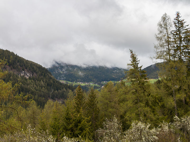 Wolkenfetzen ziehen über die Hügel