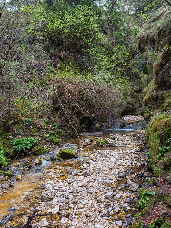 Dieser Bach bildet den Wasserfall St. Felix ...