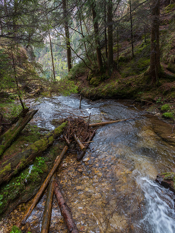 ... kurz vor dem "Absturz"