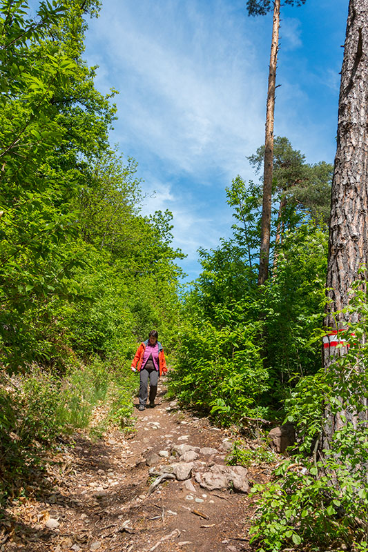 So schlecht das Wetter am Morgen war, so gut wurde es am Nachmittag