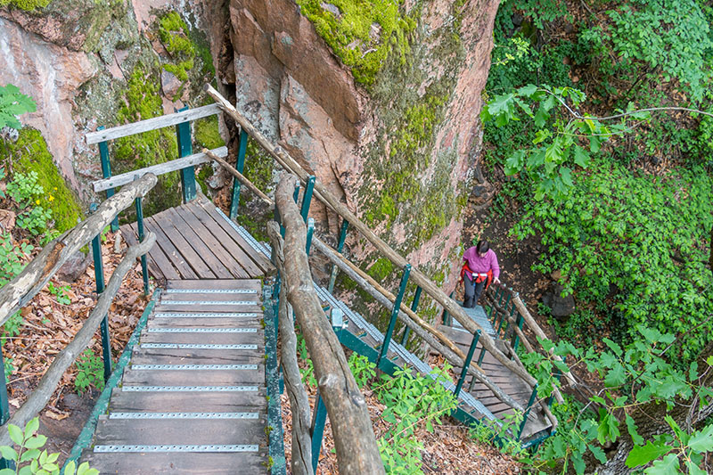 Über Treppenstufen gewinnen wir Höhenmeter ...