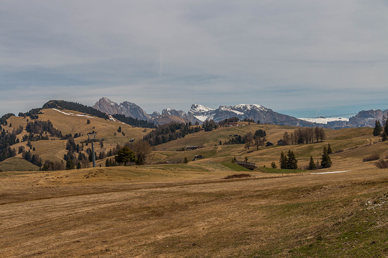 Wenn es (endlich) wärmer wird, sollte alles wieder grünen