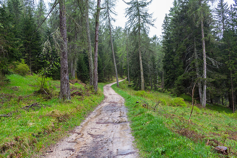 Im strömenden Regen steige ich immer weiter bergauf