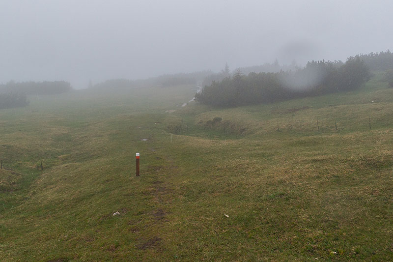 ... dann kämpfe ich mich durch den Regen zurück