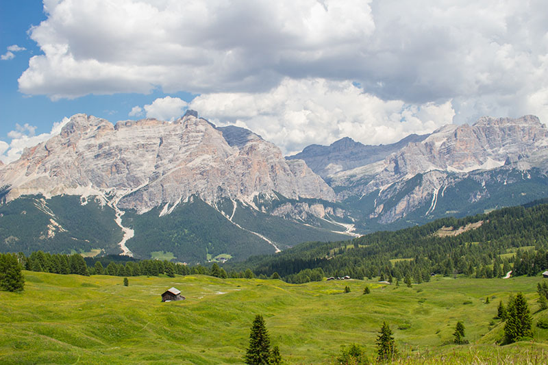 ... quasi Fernsehen ;-)