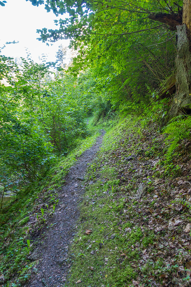Enger Pfad