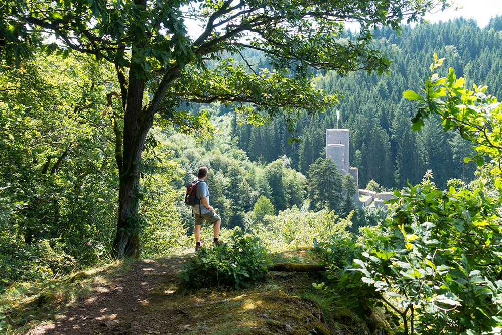 Aussicht auf die Frauenburg