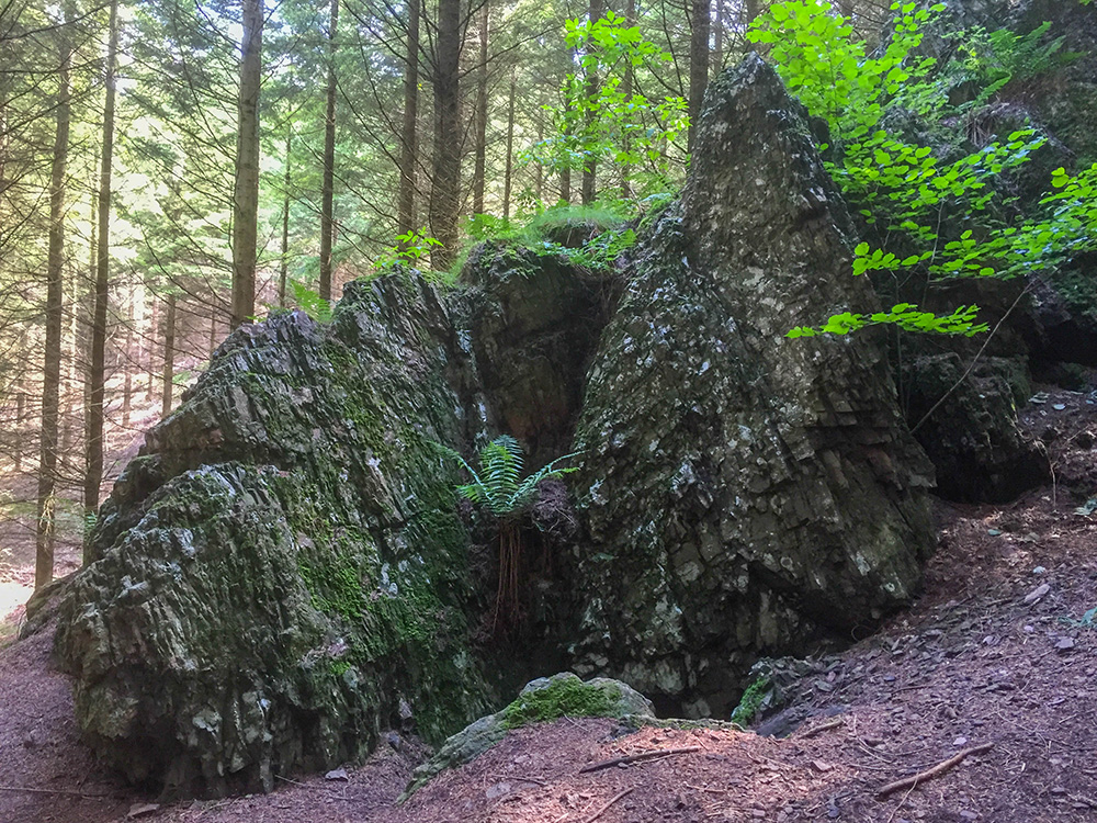 An der Bärenhöhle