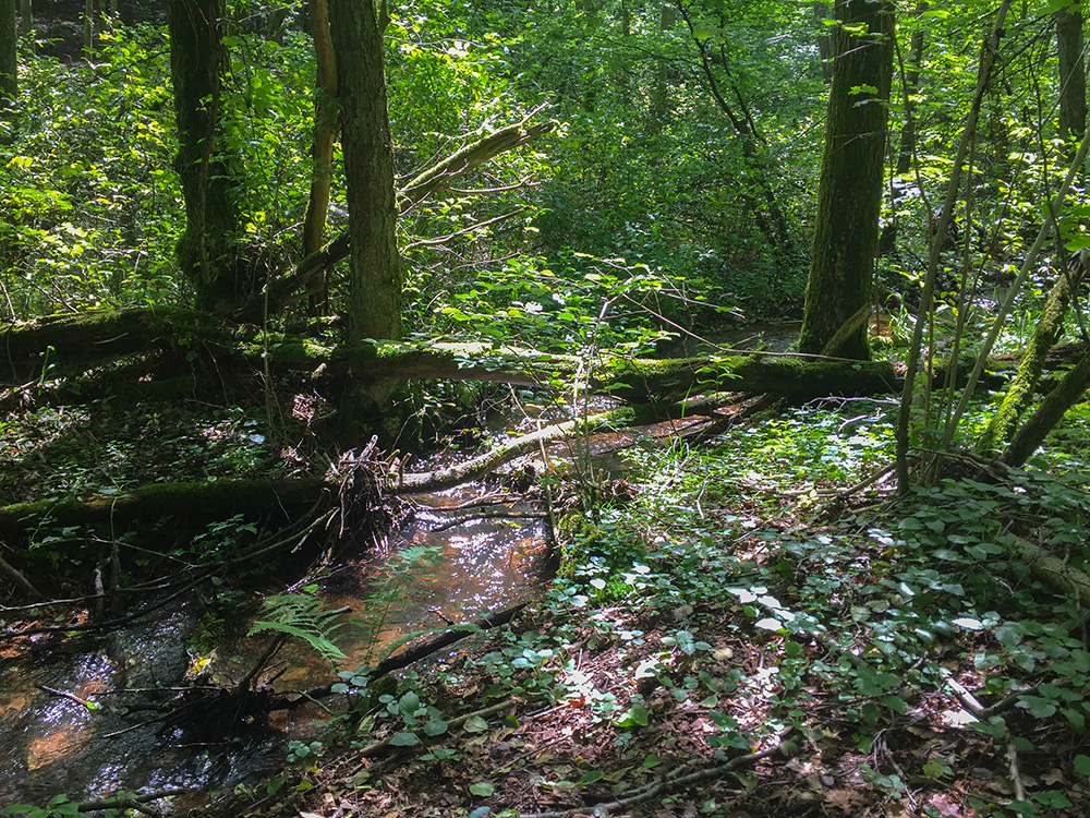 Licht und Schatten