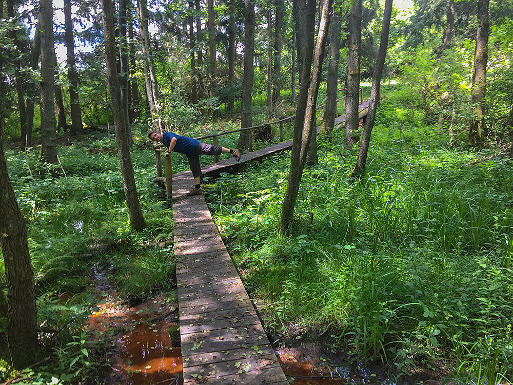 Wieder mal auf dem "Holzweg"