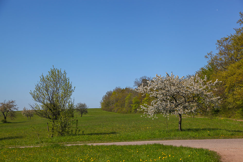 Das Wetter ist strahlend ...