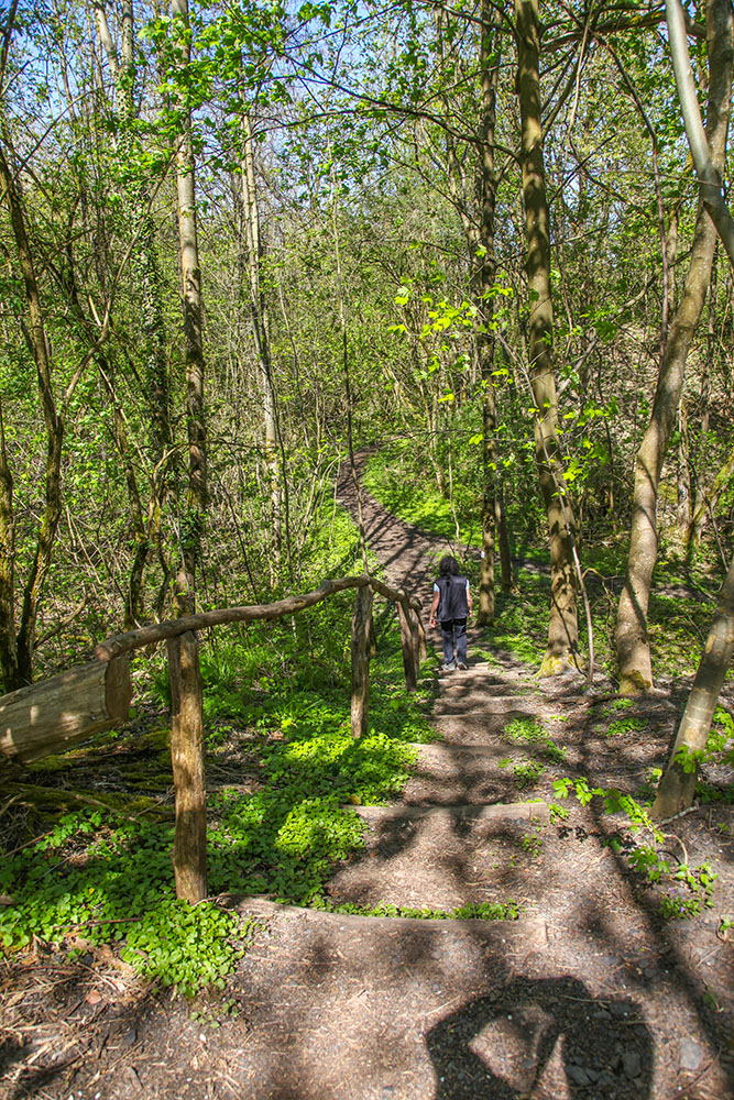 Abwärts ins Tal