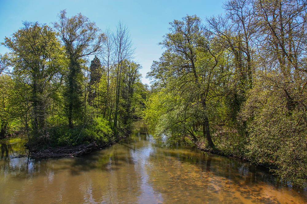 Am Laudenbach