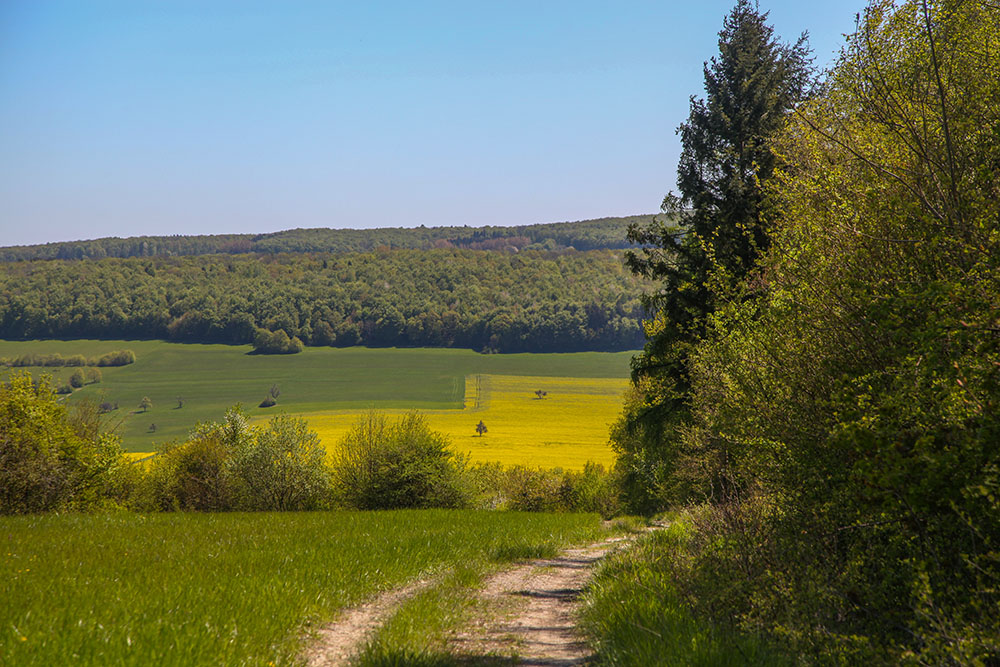 Malerische Landschaft