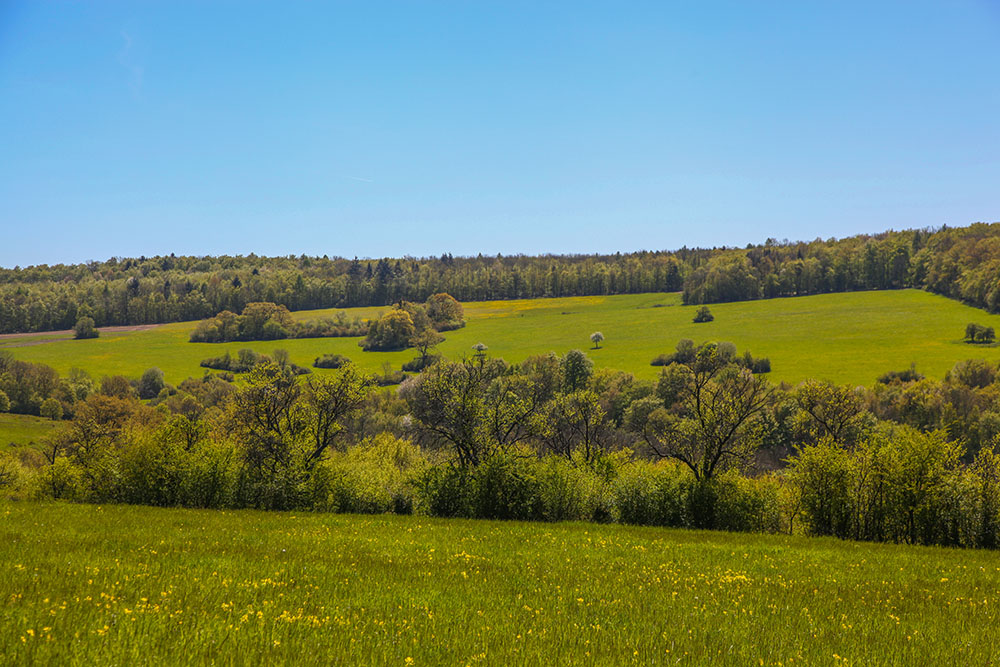 Wälder und Wiesen
