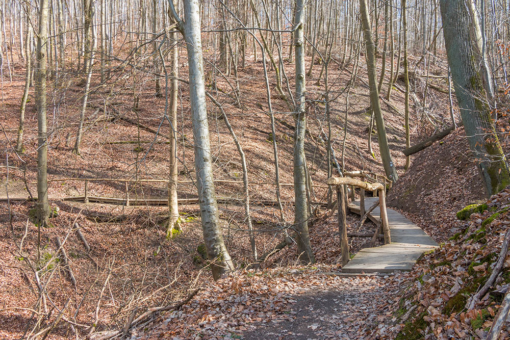 Die Wälder sind noch kahl ...