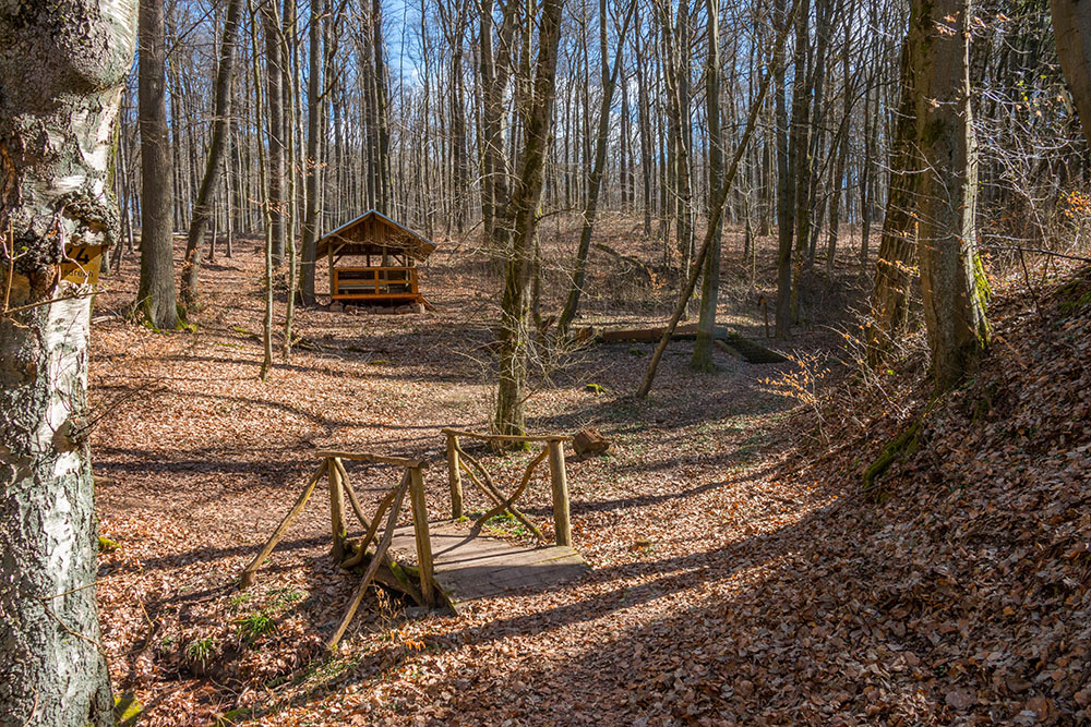 Brückchen im Wald