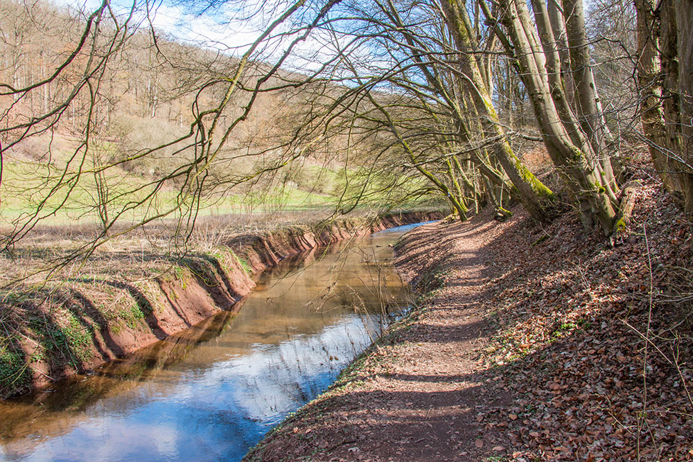 Der Lautenbach, diesmal ohne Hochwasser