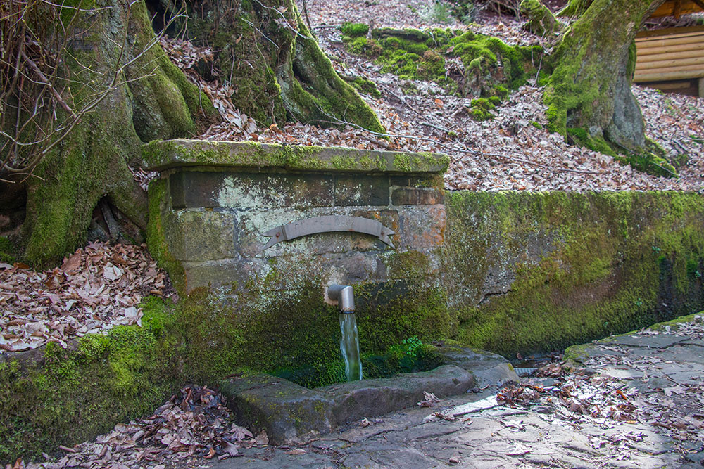 An der Ebertsquelle