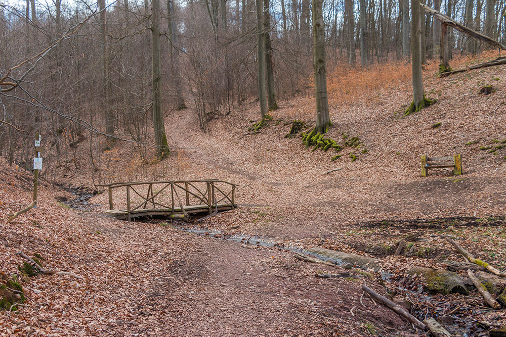 Brücke und ...