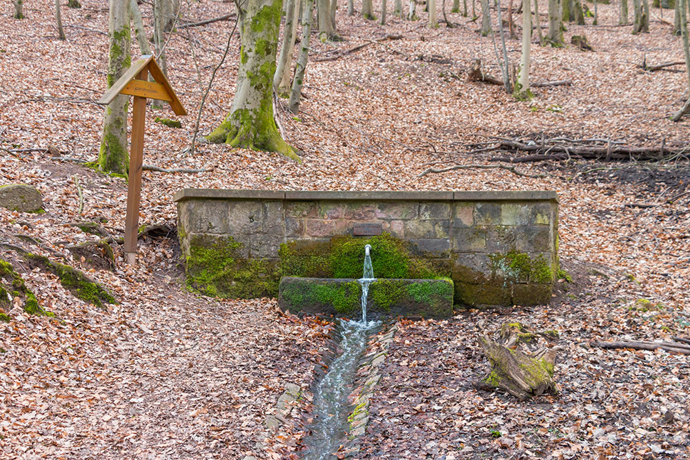 Am Karlsbrunnen