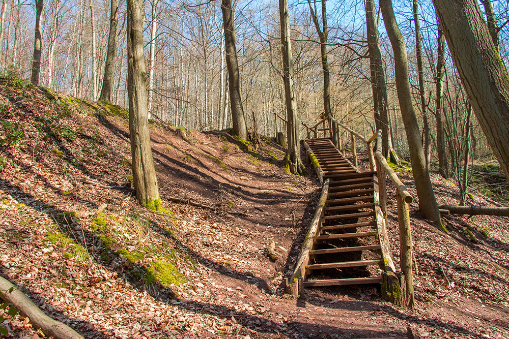 Treppe zum ...