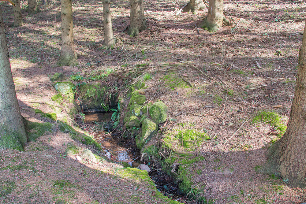 An der Dietzlochquelle