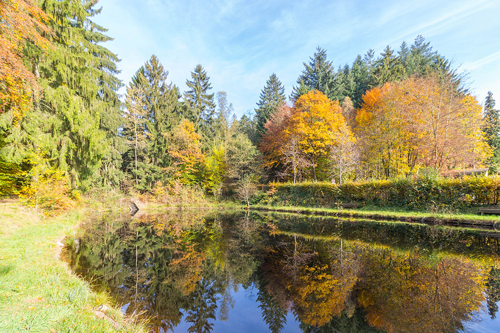 Kleiner Weiher