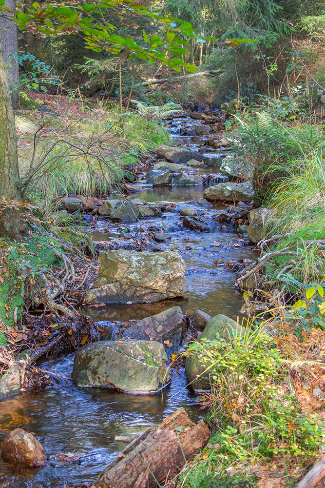 Schöner Bachlauf