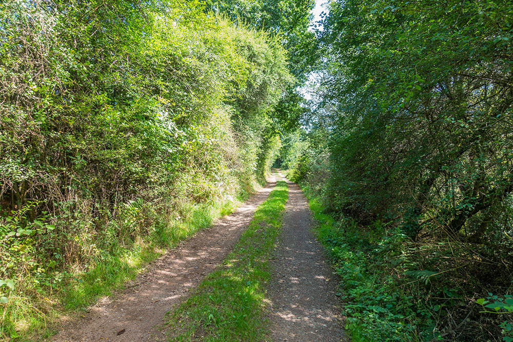 Die Wege sind breiter, als bei anderen Wanderungen