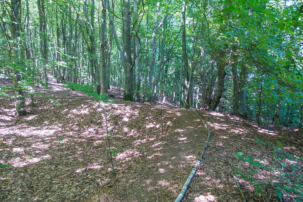 Waldweg zwischen vorzeitlichen Erzgruben