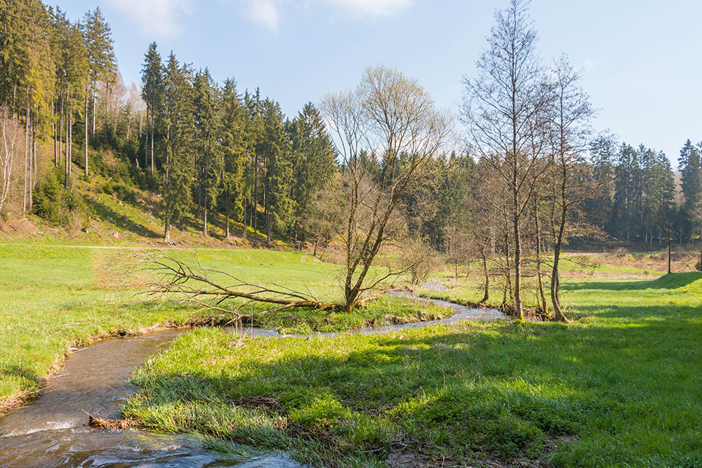 Schönes Tal mit mäanderndem Bach