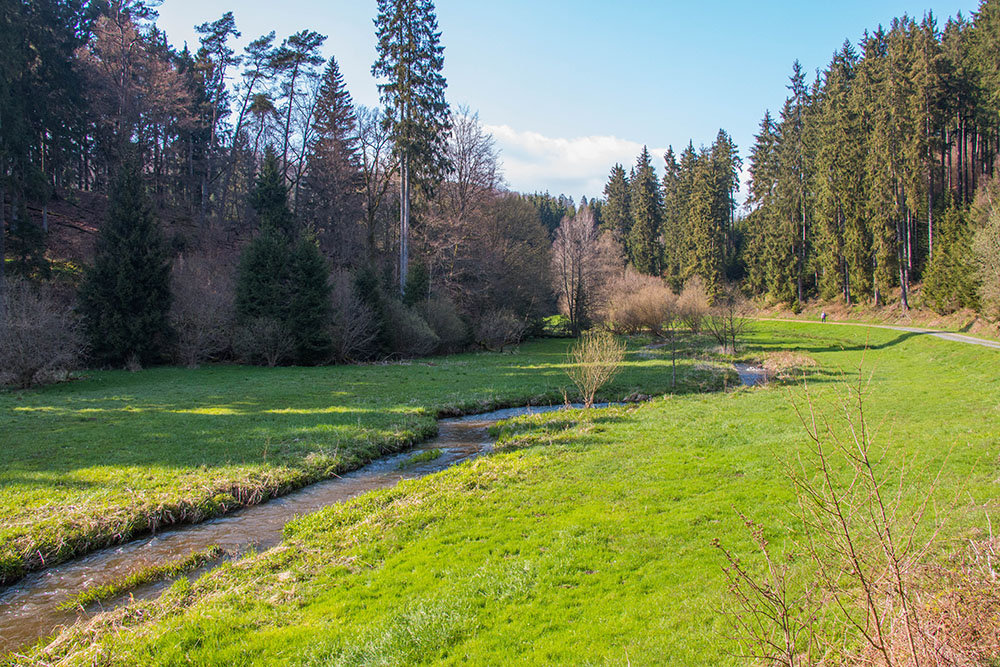 Rückweg durch das Tal der Wadrill