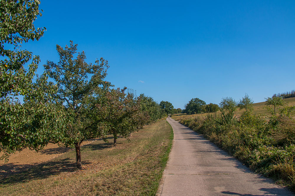 Wege durch Streuobstwiesen