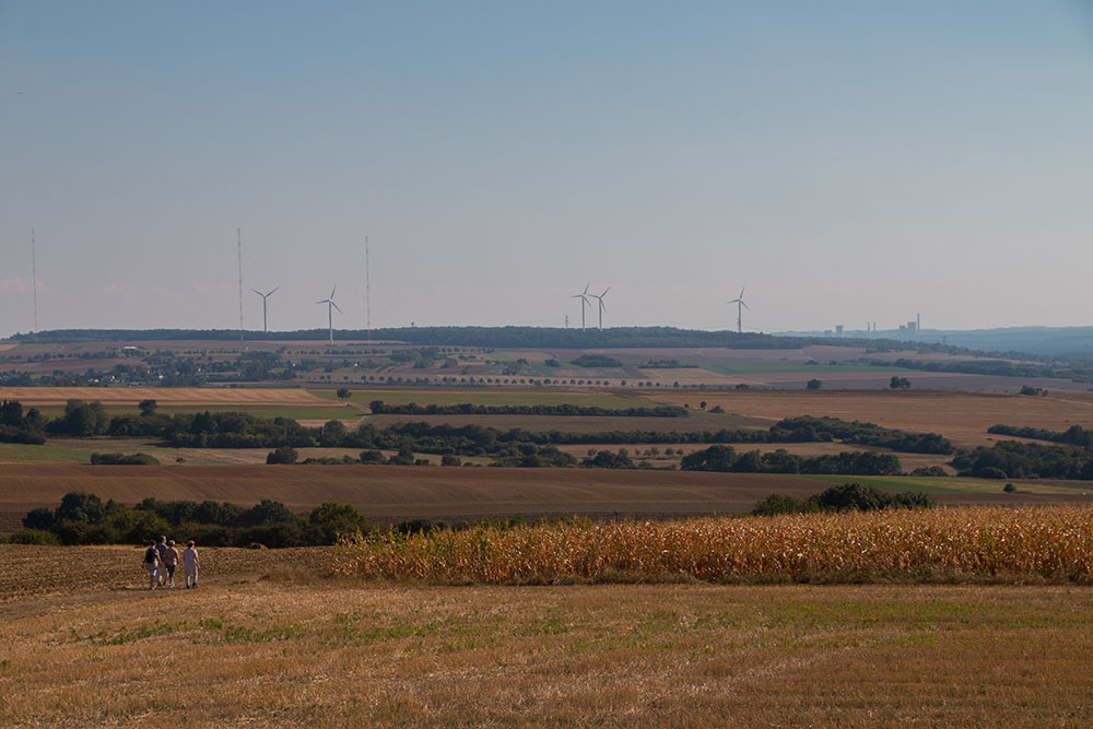Blick vom Aussichtspunkt Hirnberg