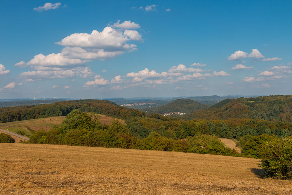 Blick auf den Hasenberg