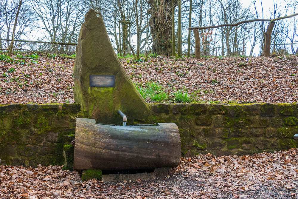 Am Hainbuchenbrunnen