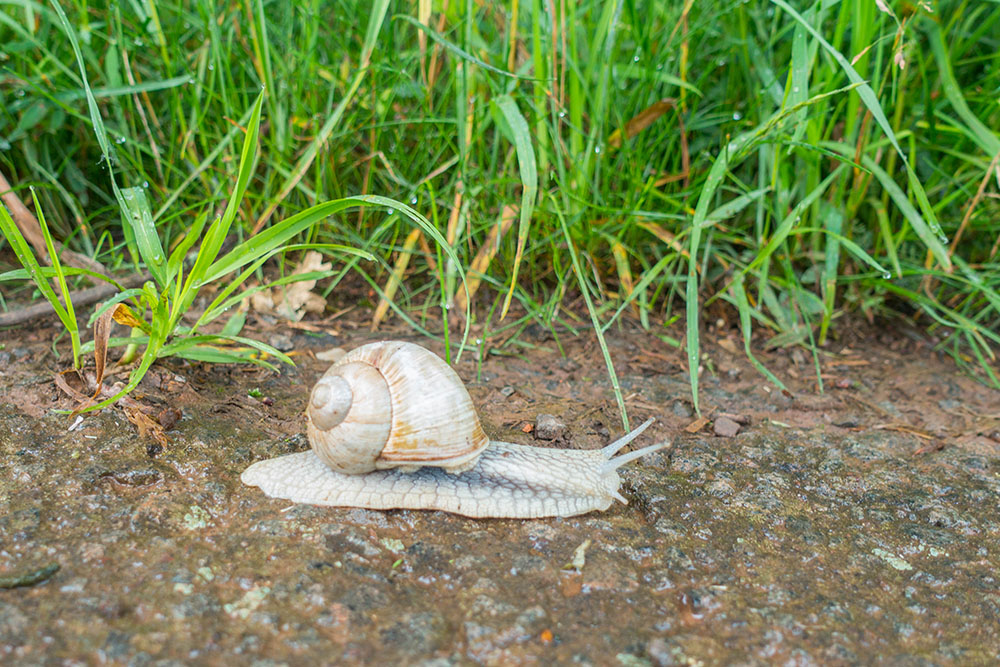 Die hat uns fast eingeholt ;-)