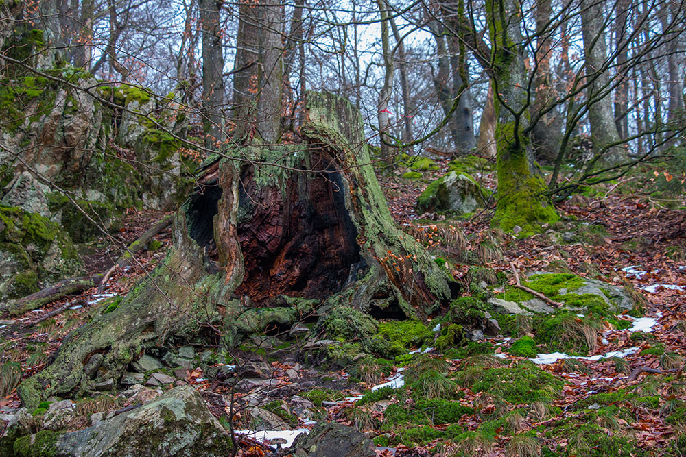Trollhöhle