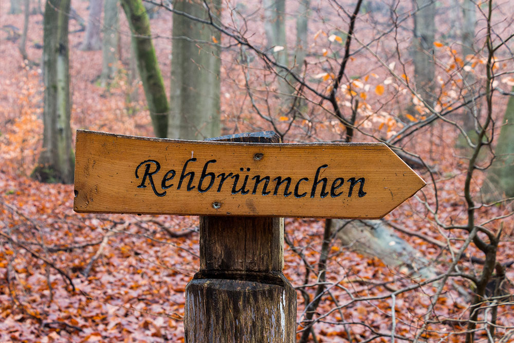 Hier machen wir einen Abstecher zum Rehbrünnchen
