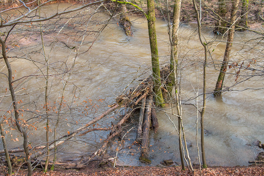 Vom Hochwasser angeschwemmtes Holz