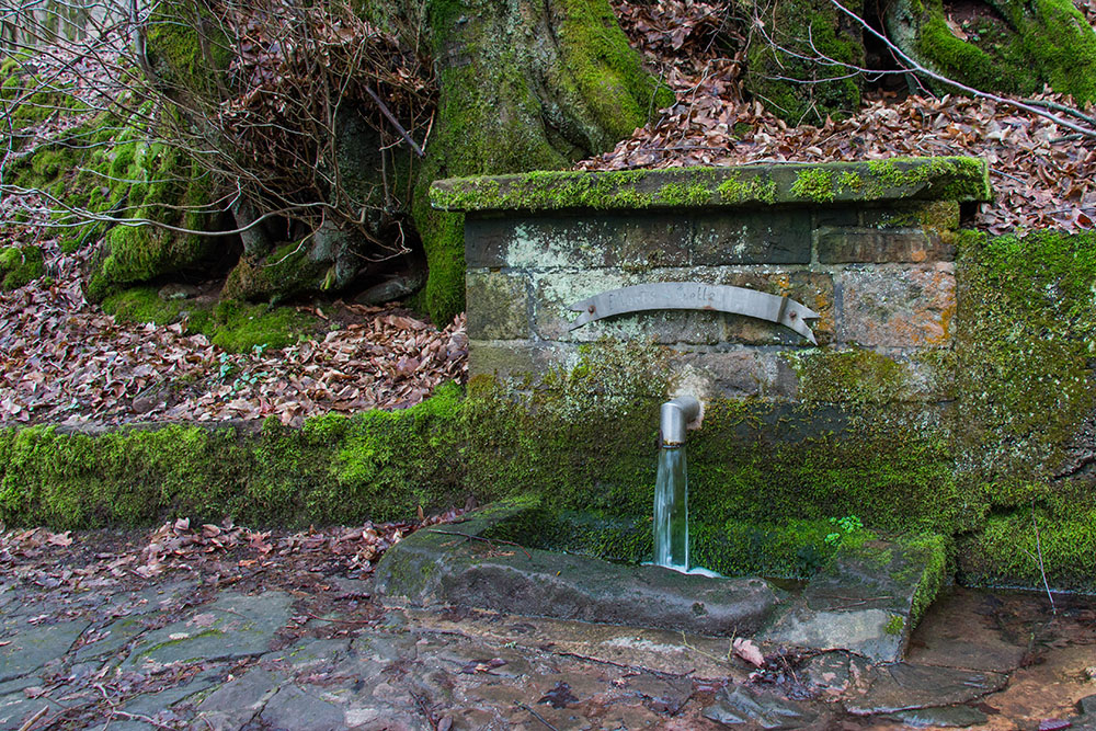 An der Ebertsquelle
