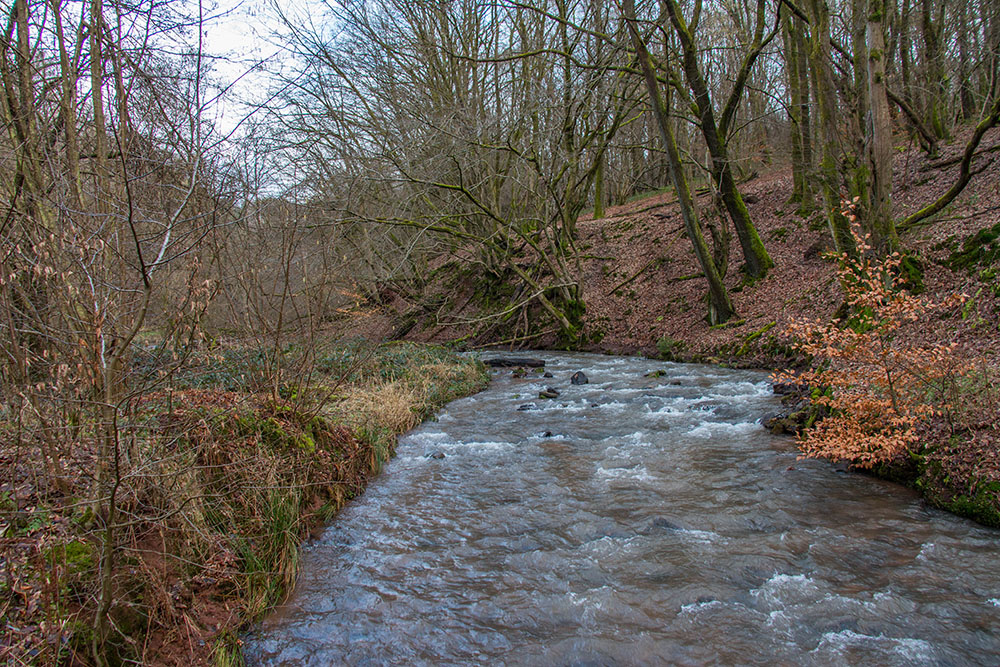Der Schönbach