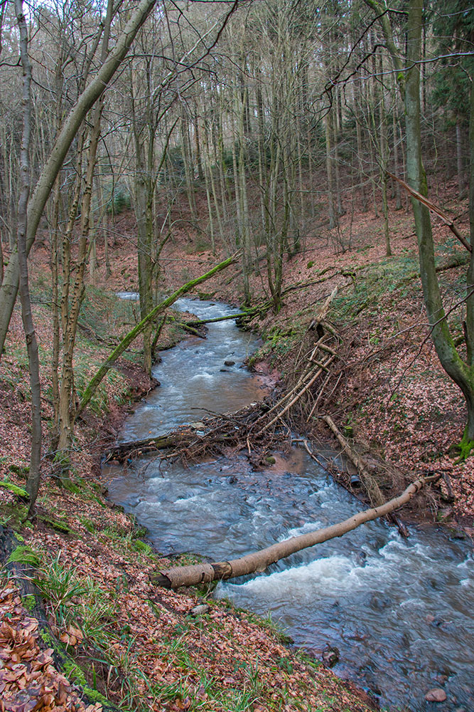 Nochmal der Schönbach