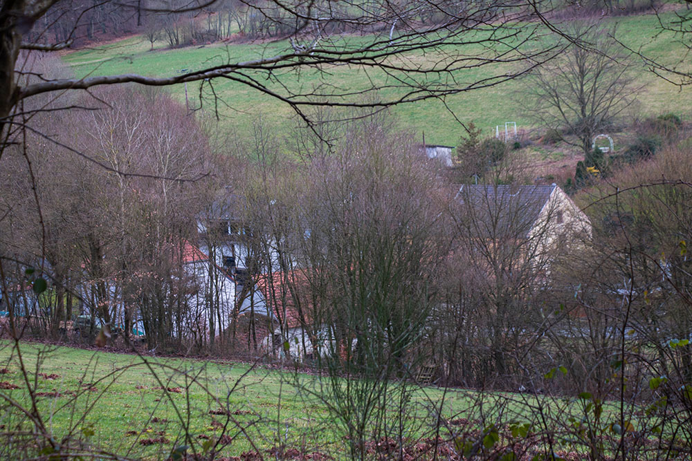 ... leider ist der Blick zur Mühle verdeckt