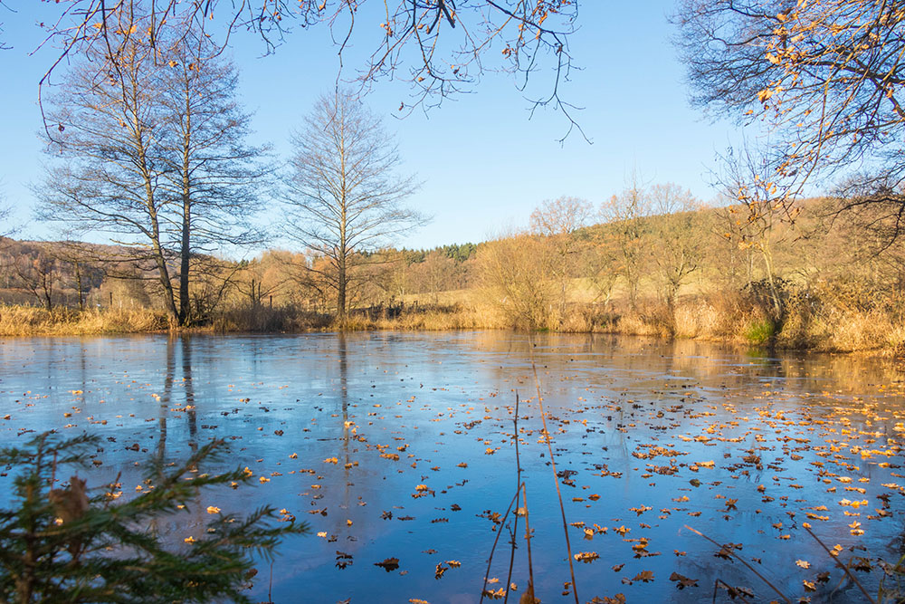 Teich mit dünner Eisdecke 