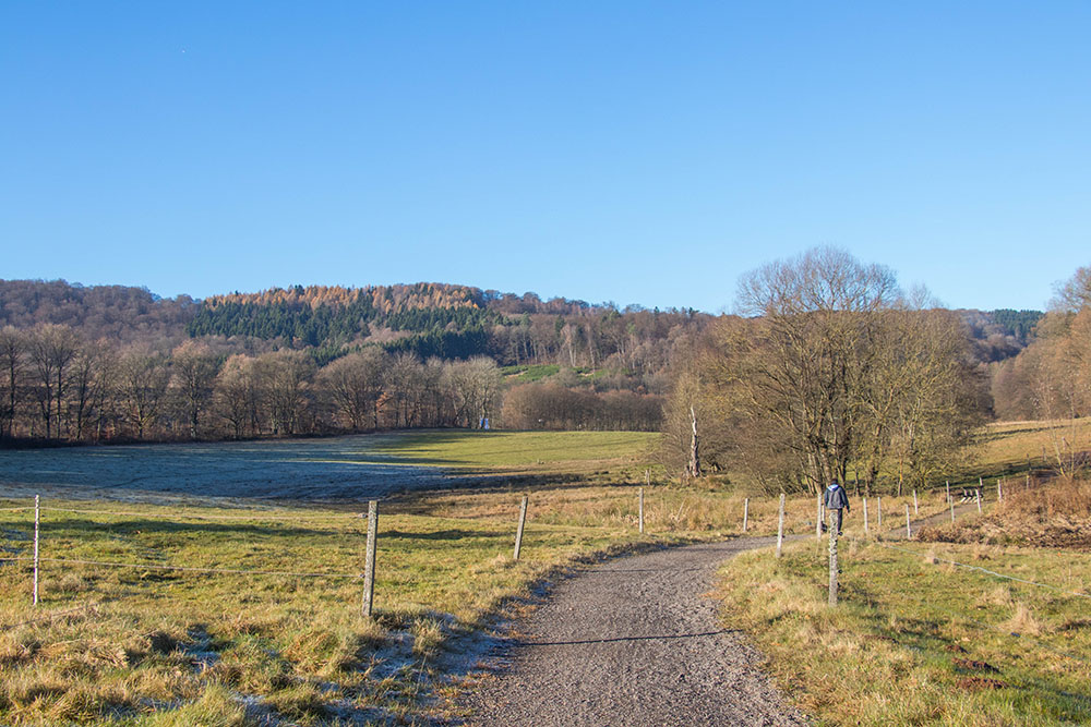 Auf dem Wanderweg 