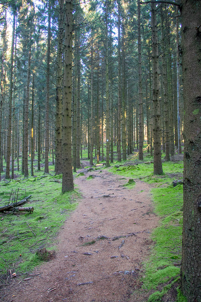 ... im Schatten friert man doch etwas, trotz beherztem Schritt 