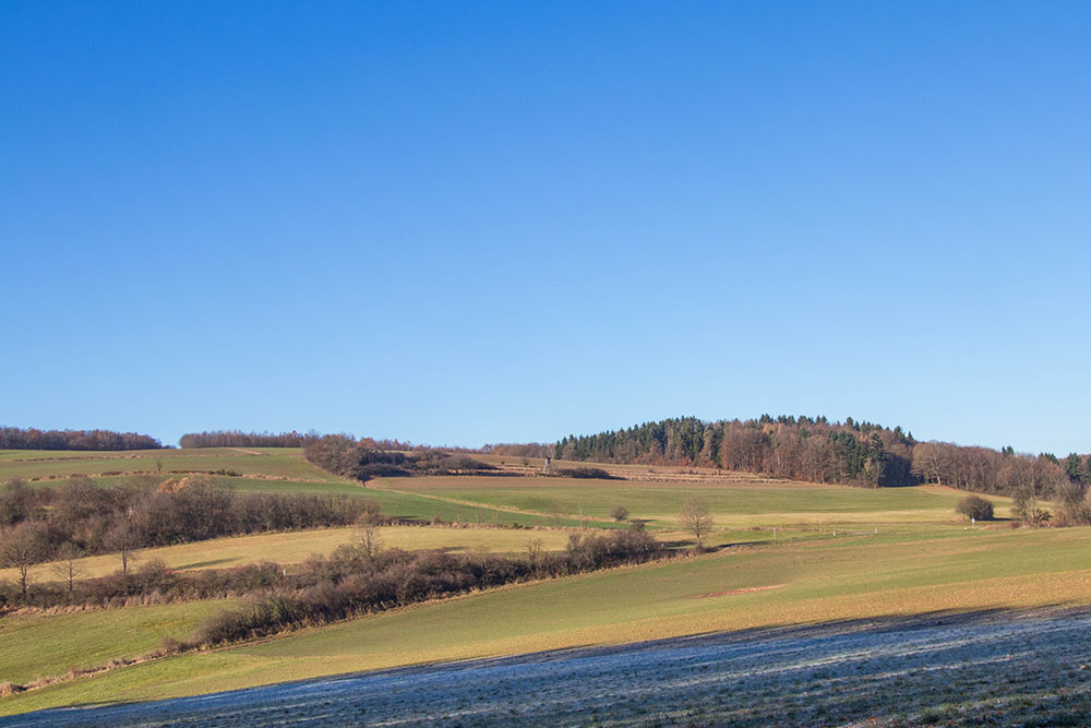 Typische Landschaft 