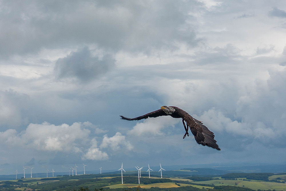 Überflug